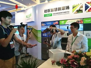 蘇州松下生產(chǎn)科技新植物工廠蔬菜出貨