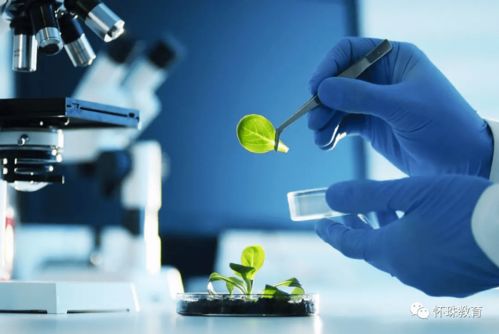 教育部統(tǒng)計(jì)數(shù)據(jù) 這8個(gè)專業(yè)的學(xué)生已經(jīng)嚴(yán)重飽和, 報(bào)考千萬(wàn)要謹(jǐn)慎