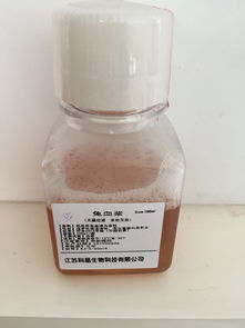 其它 價格 采購 供應(yīng)商信息