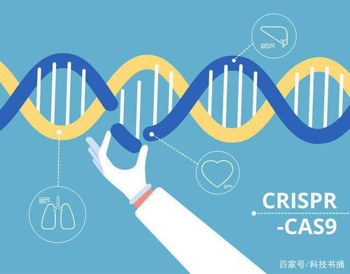 從基因?qū)用?改造 人類 別讓生物黑客稱霸地球 科技書摘