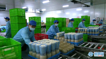 云霄 生物科技助力穩(wěn)產(chǎn)保供，讓市民“菜籃子”拎得更穩(wěn)