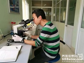 正典球苗技術服務團隊 專業力量走出國門，賦能全球客戶養殖新高度