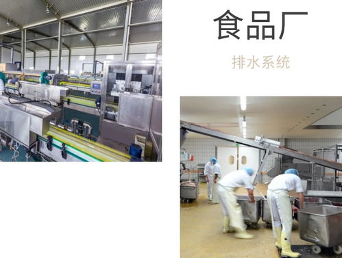 食品廠車間排水布局設(shè)計與地漏選擇建議