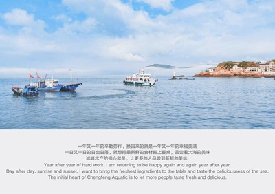 寧波得邦設計 一站式品牌全案策劃與設計的專業伙伴