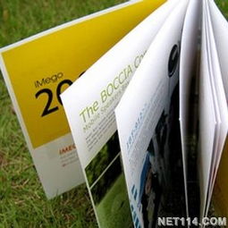 寧波樣本設(shè)計(jì)的藝術(shù)與商業(yè)價(jià)值——專業(yè)樣本畫(huà)冊(cè)設(shè)計(jì)公司與廣告發(fā)布服務(wù)的深度解析